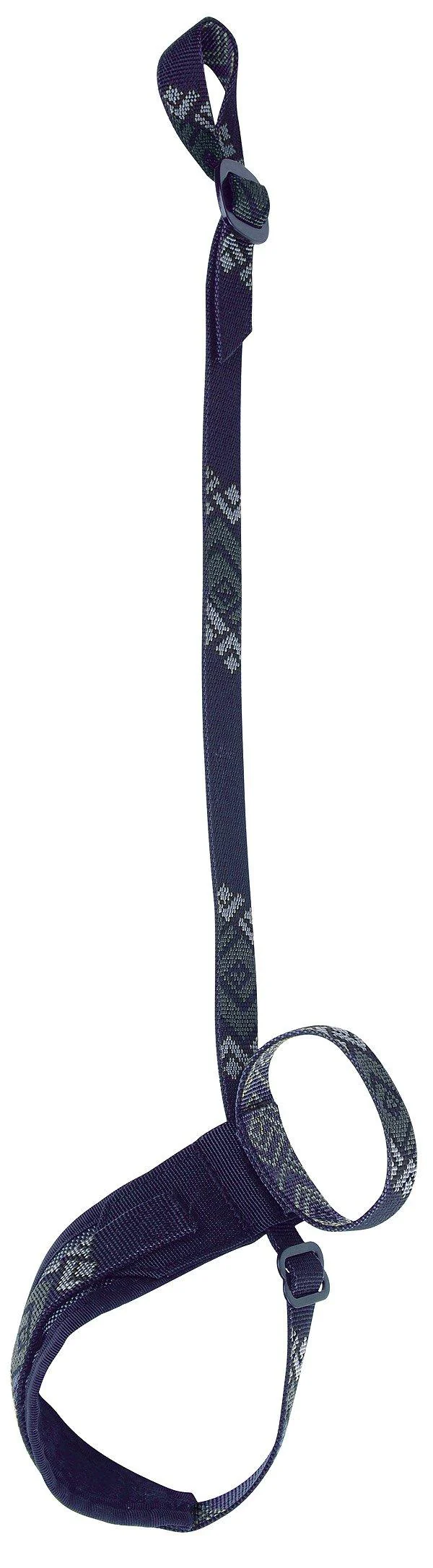Lockdown Leash