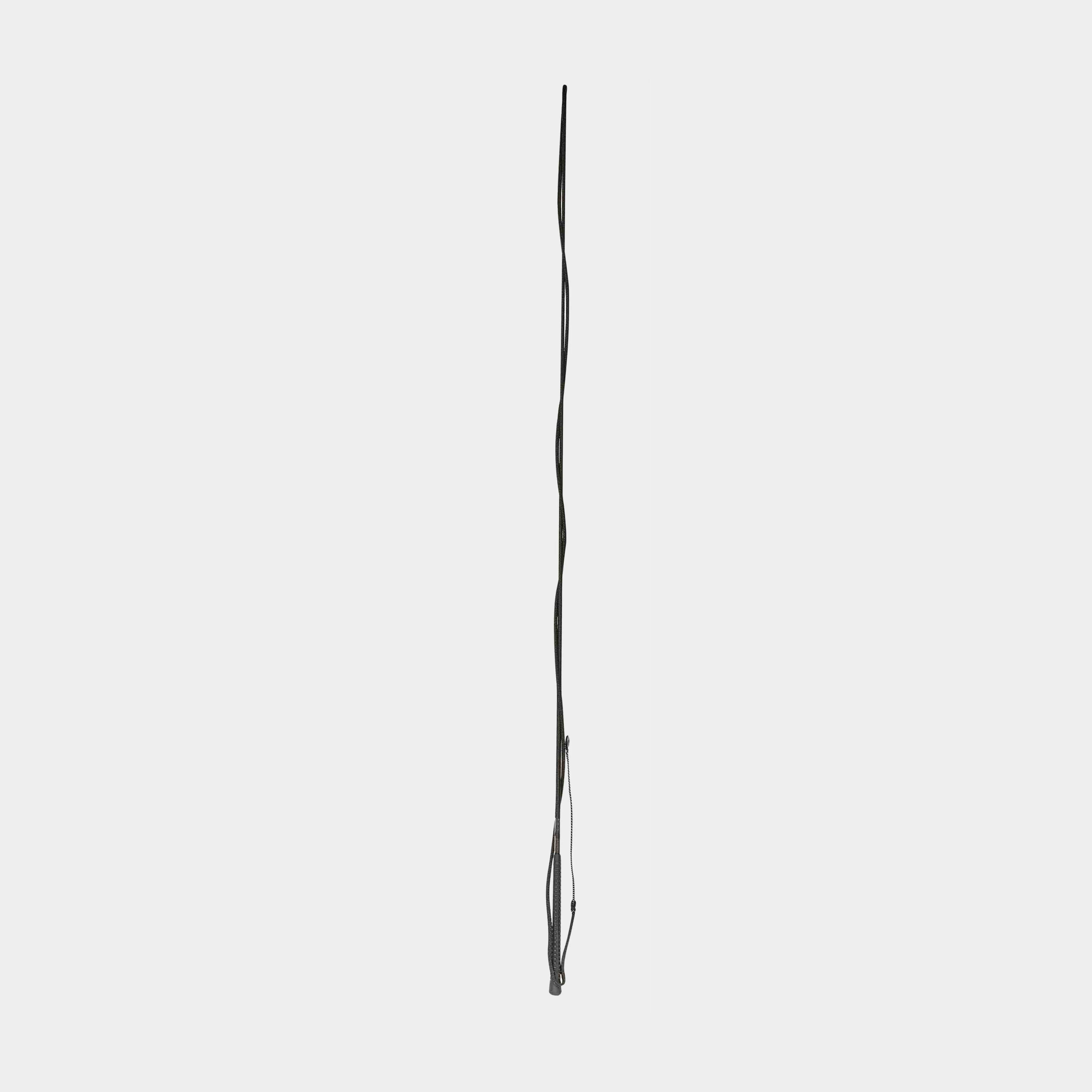 Brights Lunge Whip