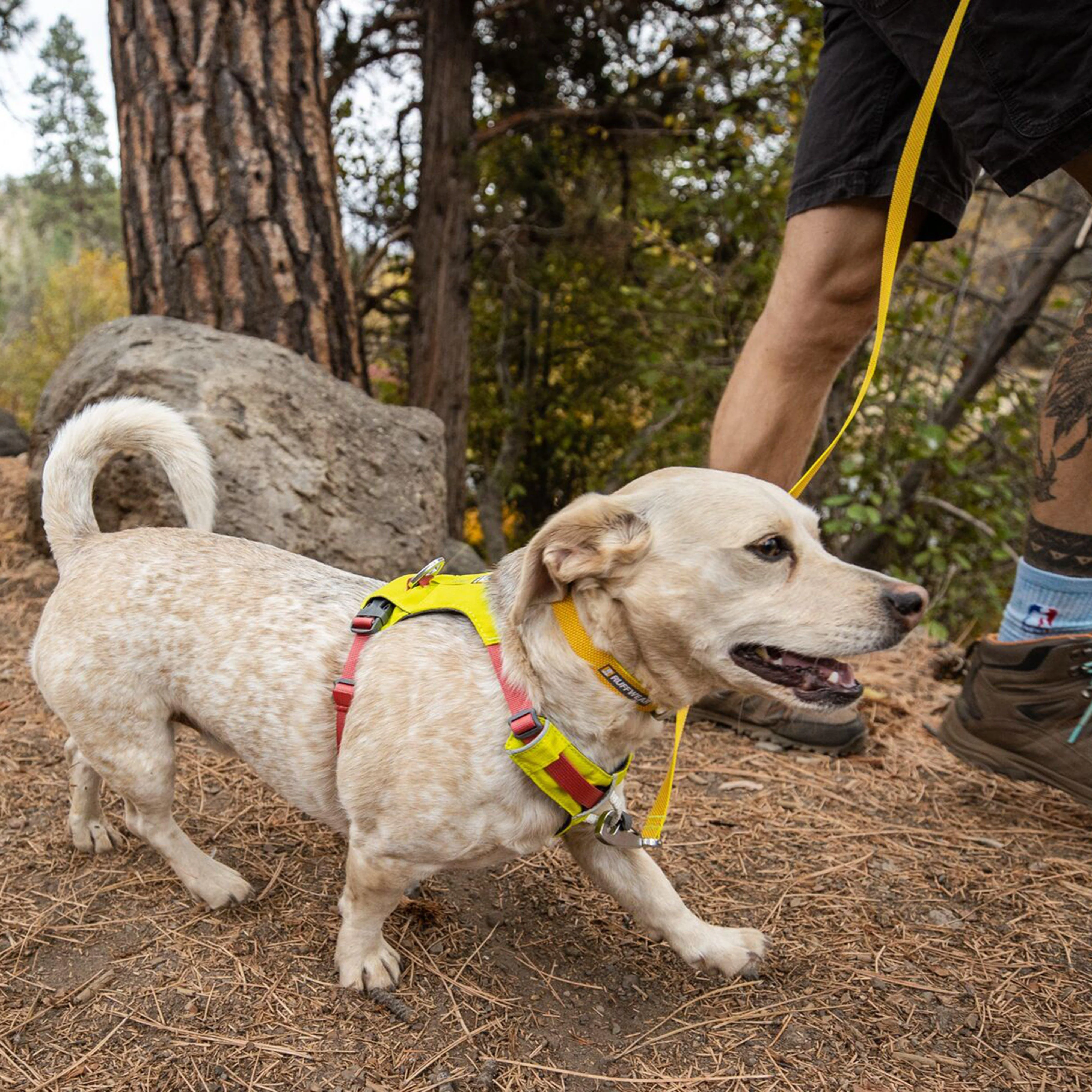 Hi Light Harness Yellow/Red - Image 15