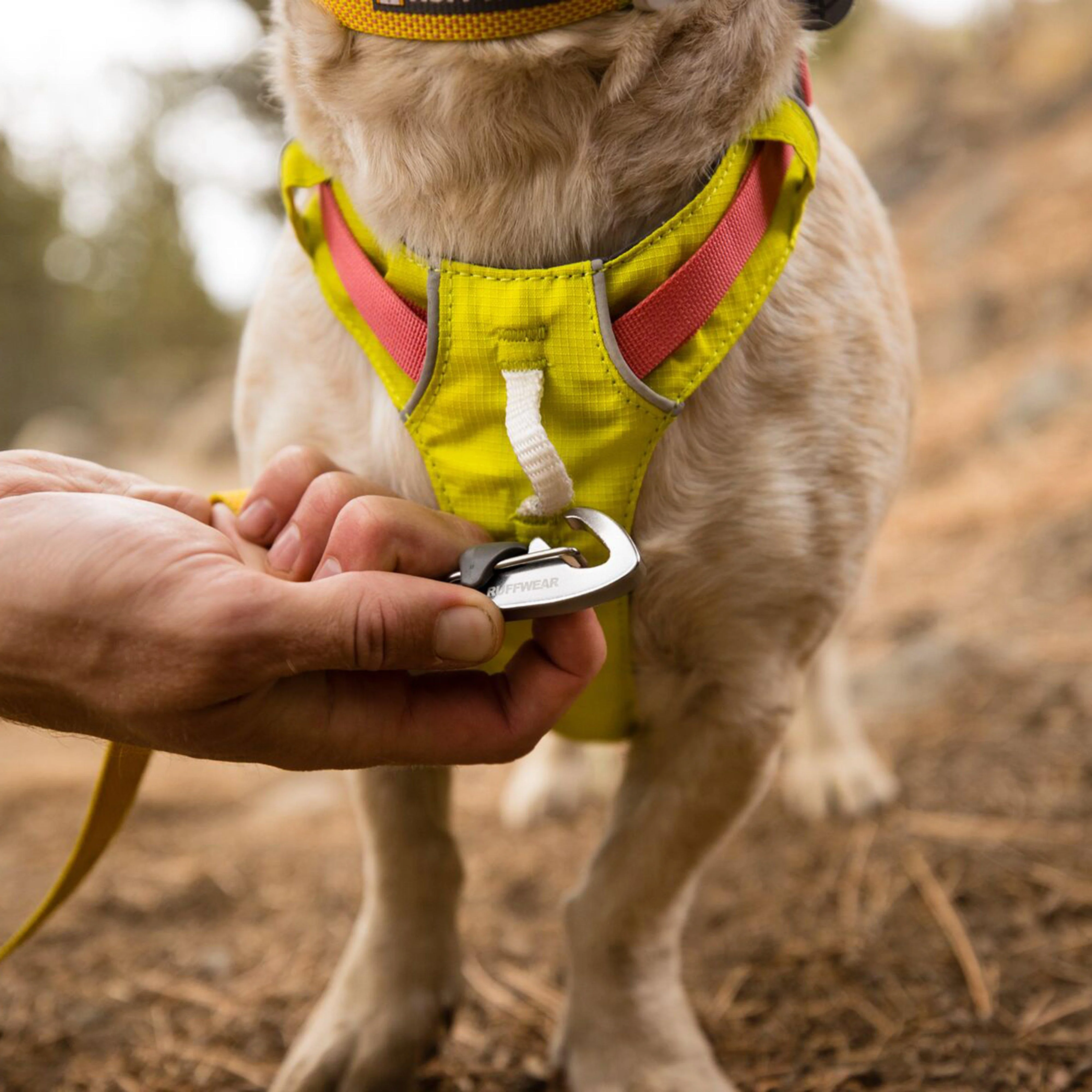Hi Light Harness Yellow/Red - Image 23
