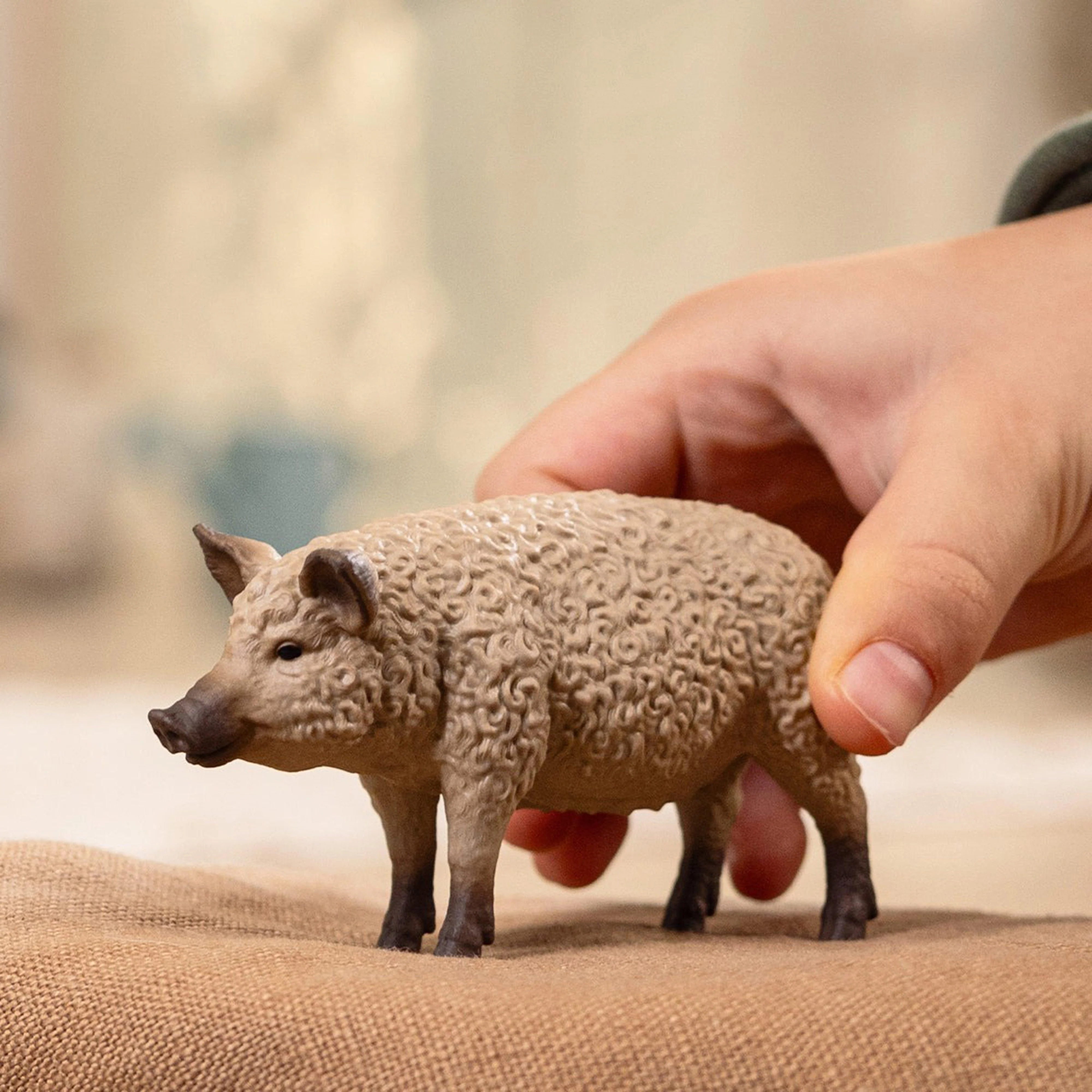 Mangalica Pig - Image 2