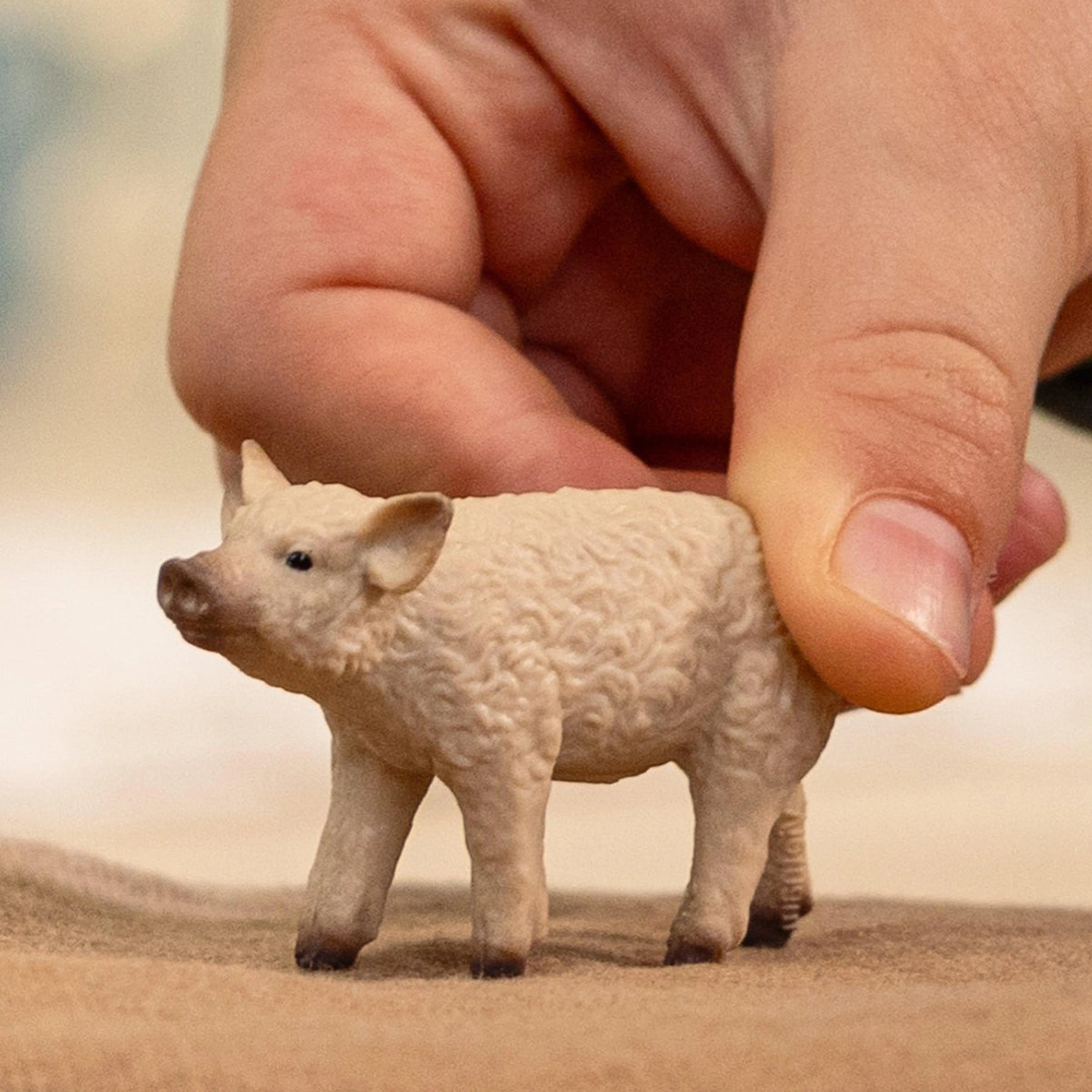 Mangalica Piglet - Image 2
