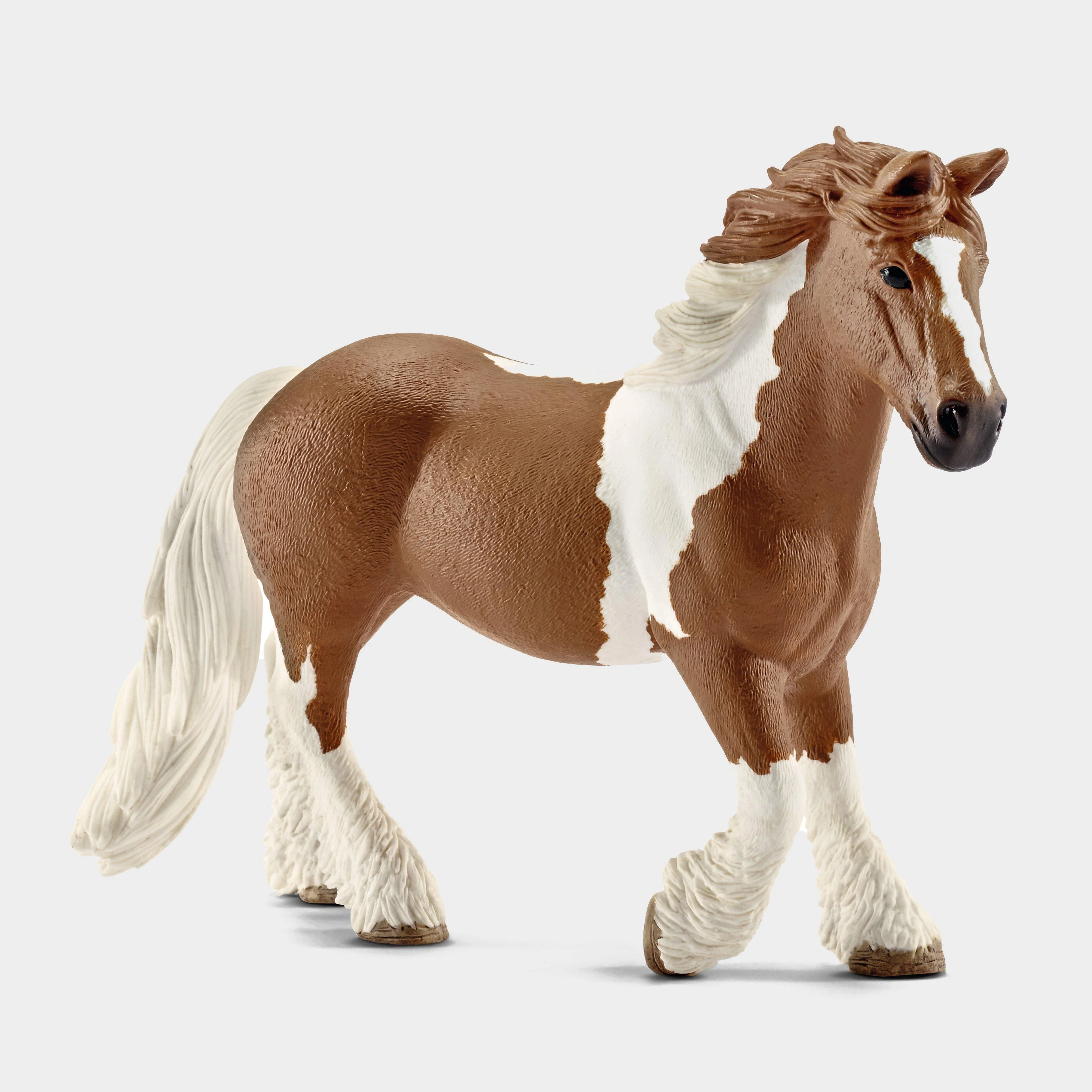 Tinker Mare