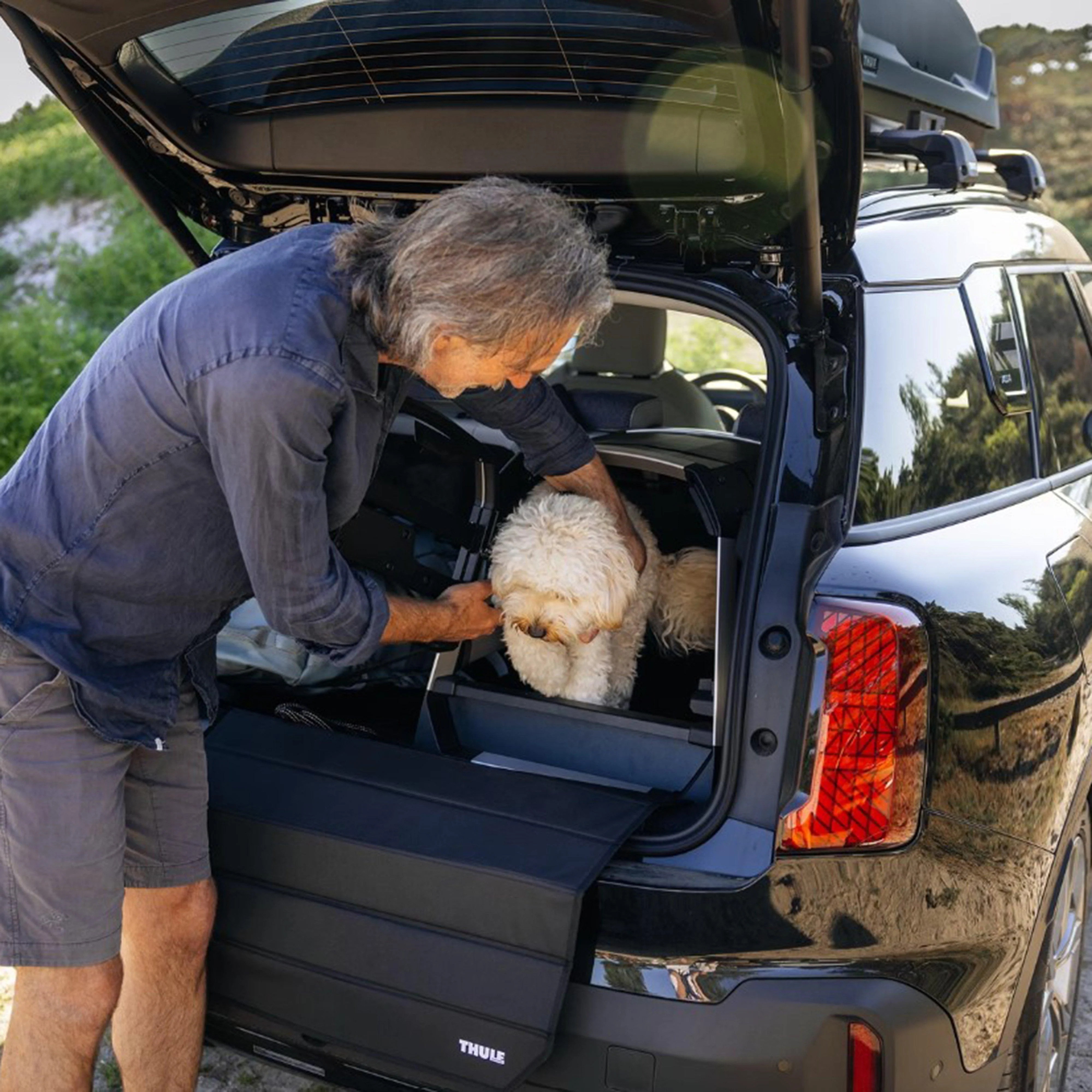 Allax Threshold Compatible Dog Car Crate M - Image 5