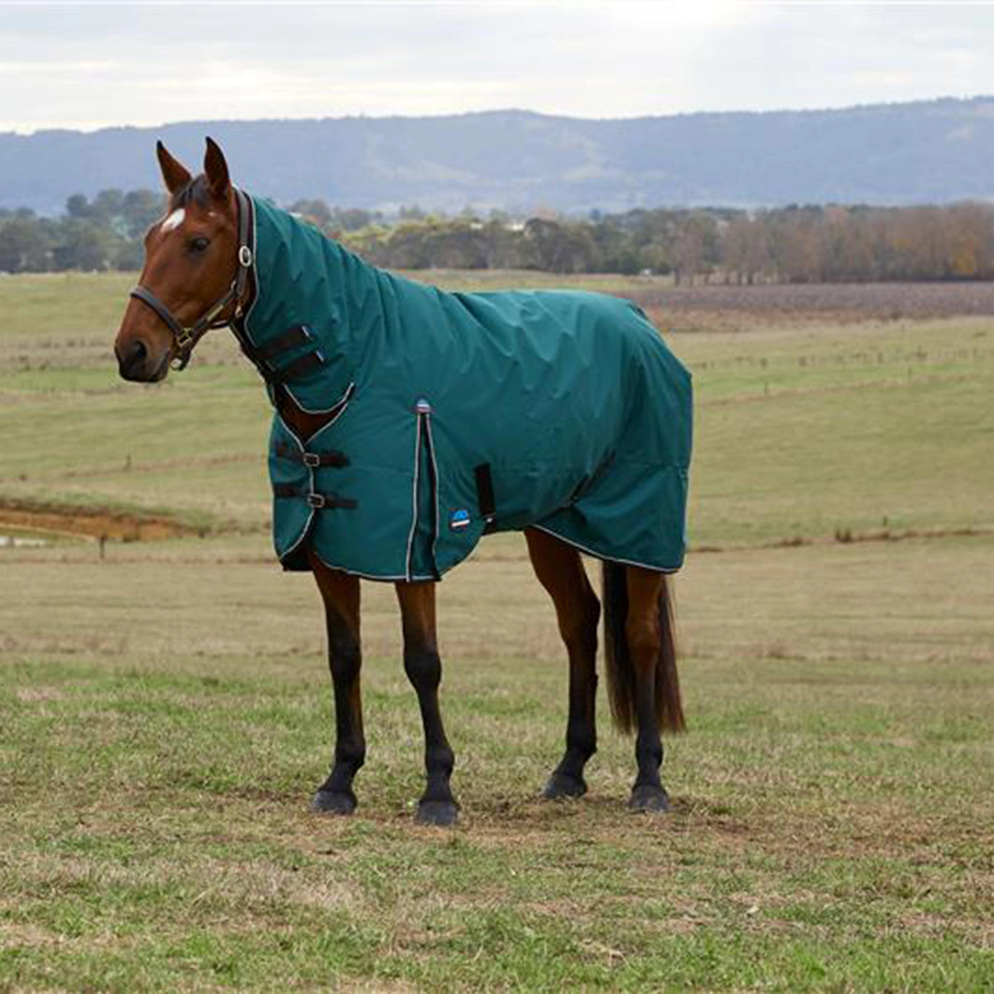 ComFiTec Classic Combo Neck Medium Turnout Rug - Image 7