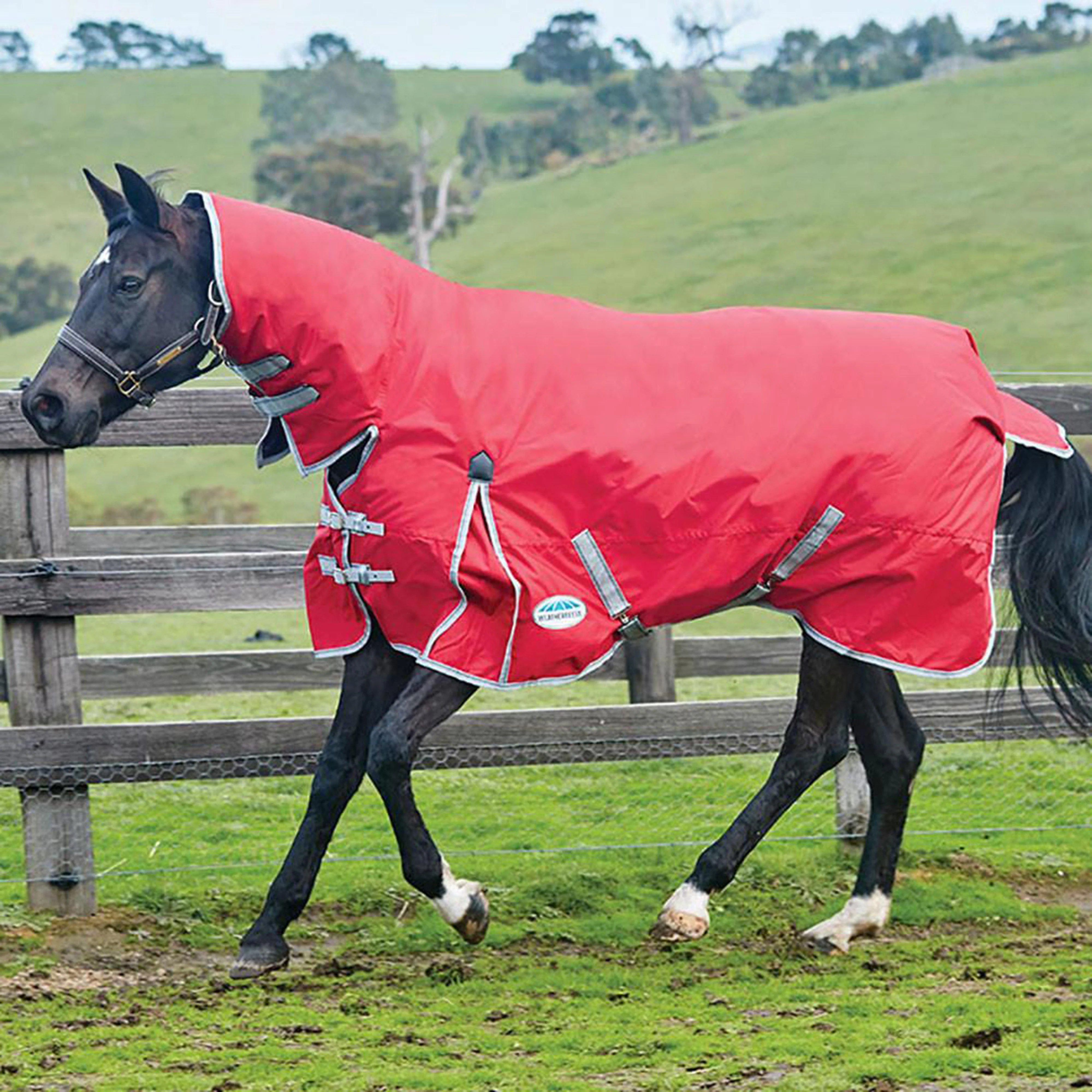 ComFiTec Classic Combo Rug Lite